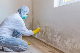 Best Residential Mold Inspection & Testing in Twentynine Palms, CA