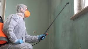 Best Mold Remediation for Healthcare Facilities in Twentynine Palms, CA