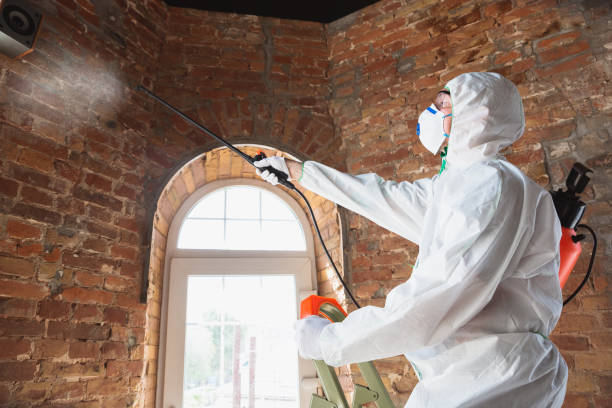 Best Forensic Mold Investigation in Twentynine Palms, CA